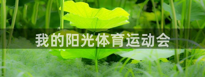 JJB竞技宝官方正版app娱乐网站:我的阳光体育运动会